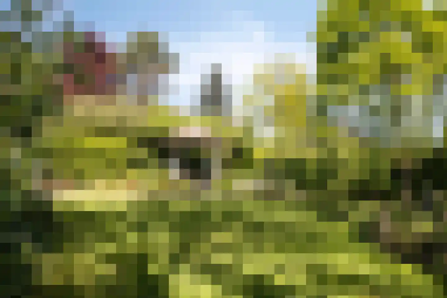 Gemeintje 4 Lithoijen thumbnail 35