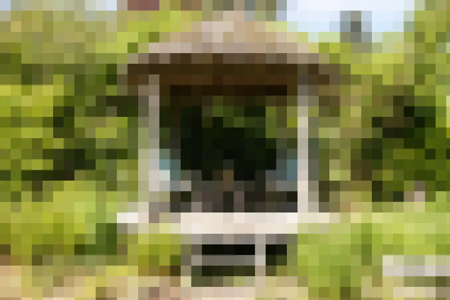 Gemeintje 4 Lithoijen thumbnail 36