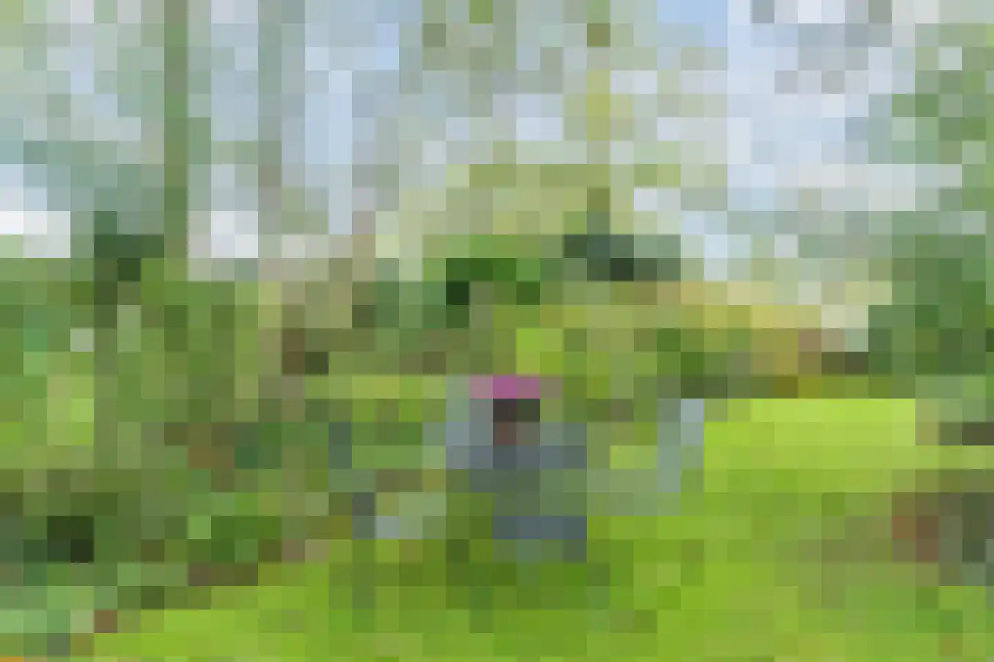 Gemeintje 4 Lithoijen thumbnail 36