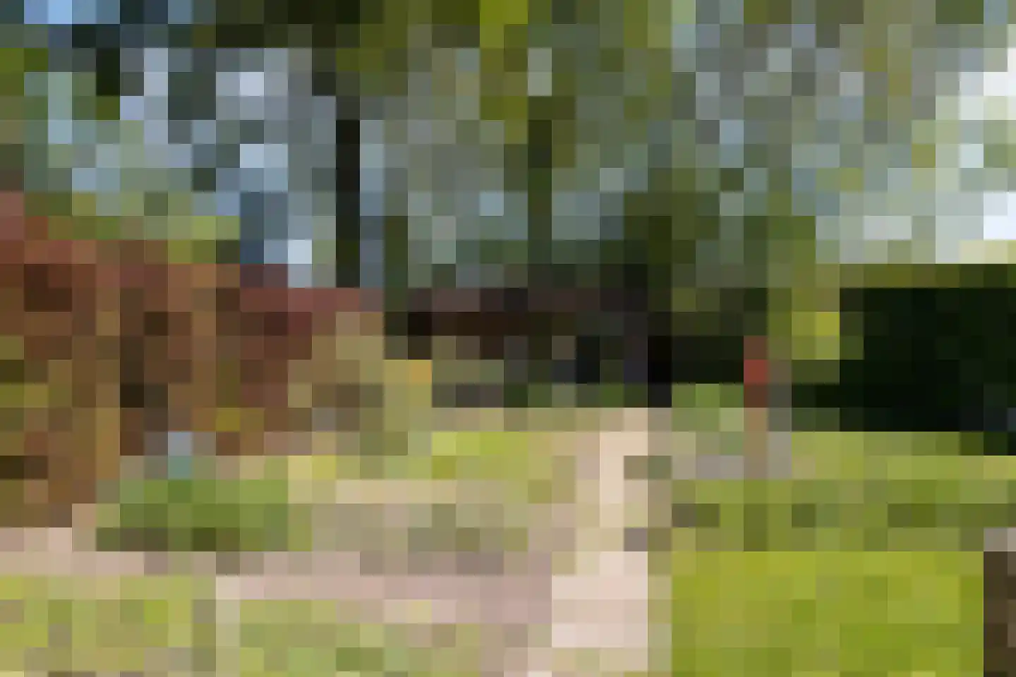 Gemeintje 4 Lithoijen thumbnail 38