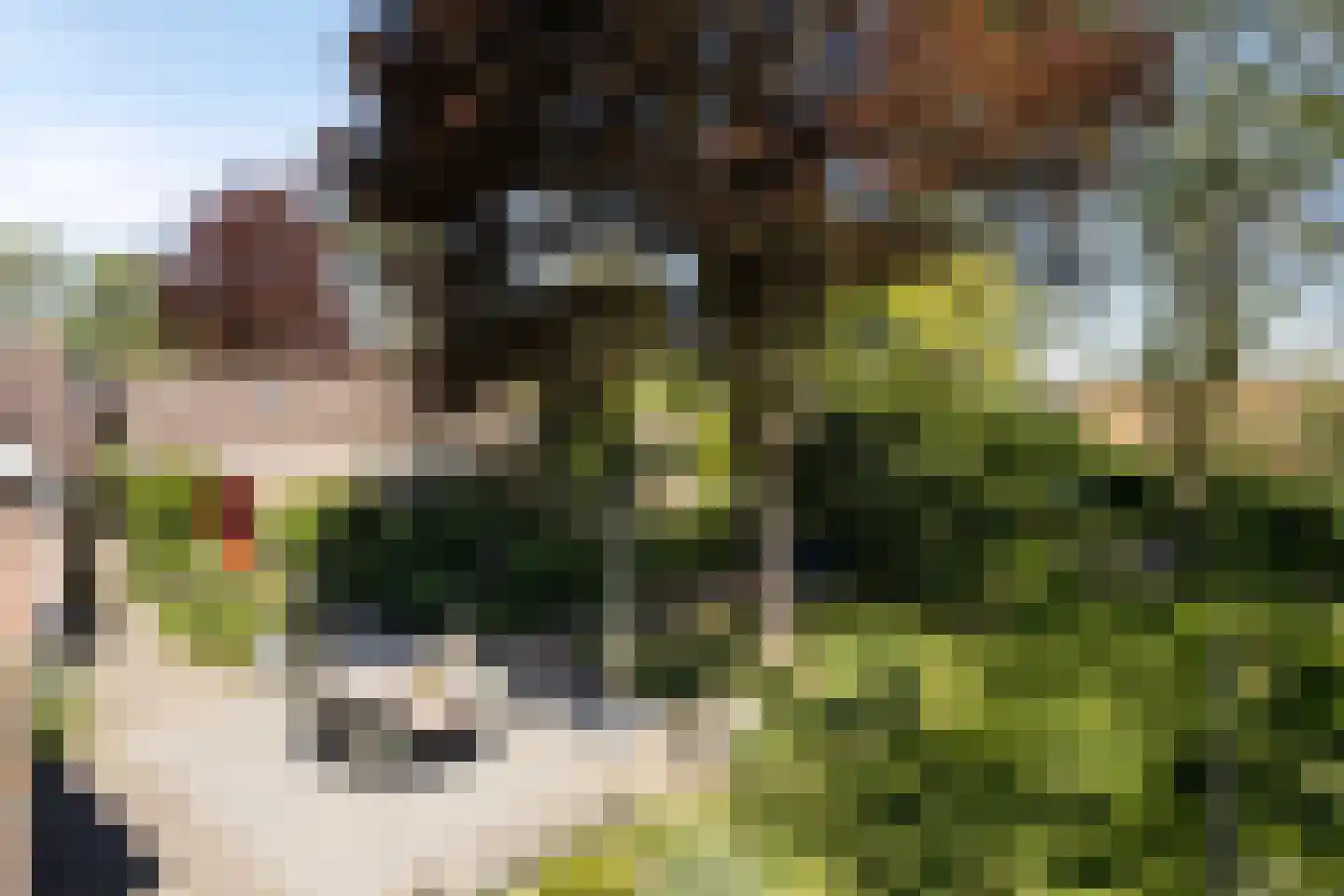 Gemeintje 4 Lithoijen thumbnail 39