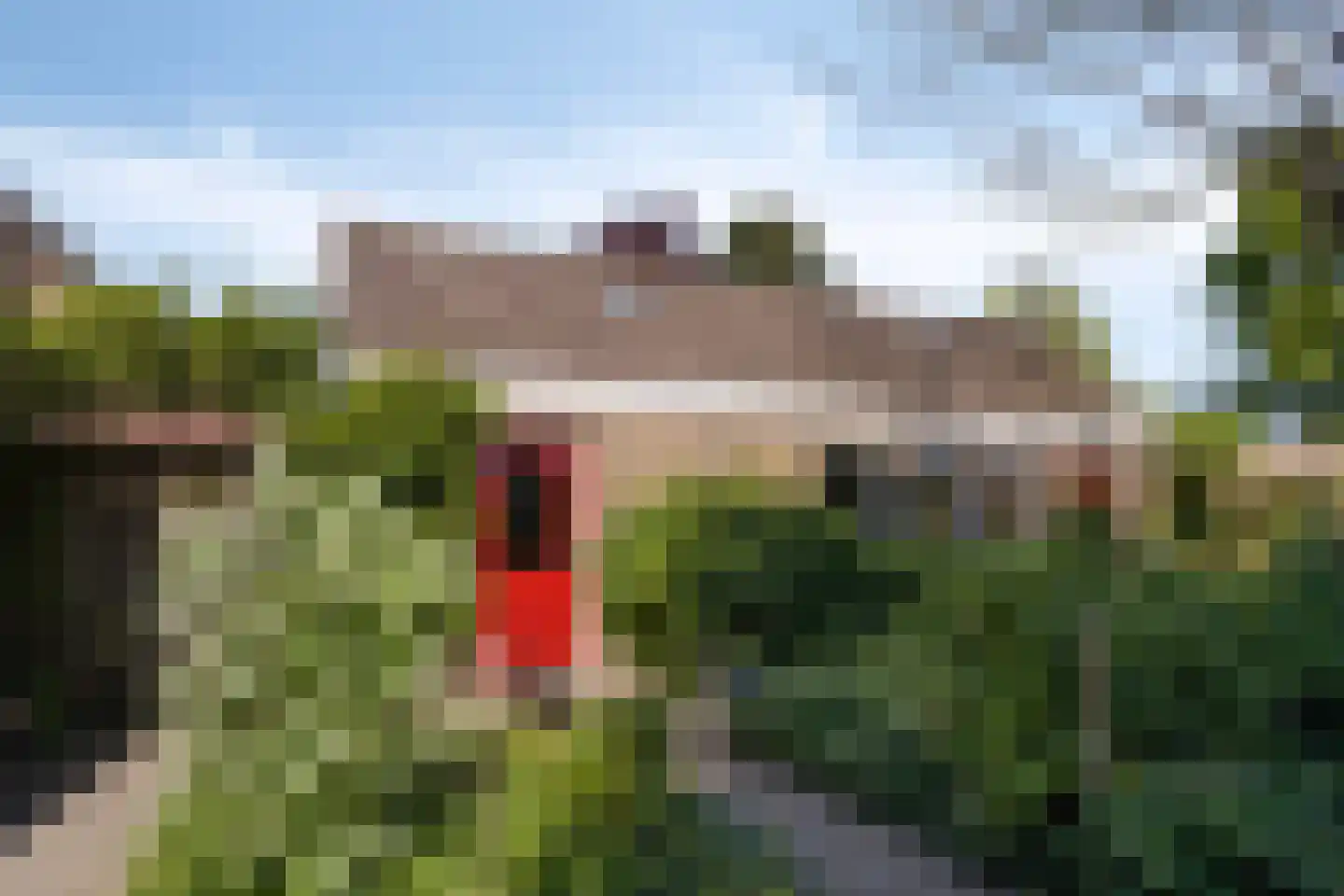 Gemeintje 4 Lithoijen thumbnail 40