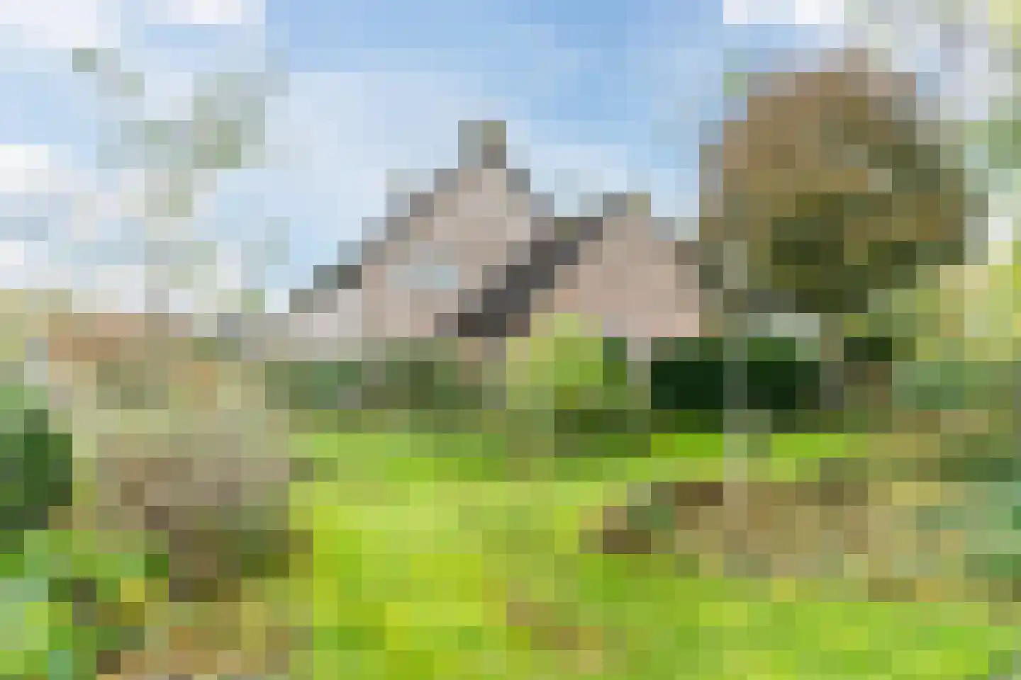 Gemeintje 4 Lithoijen thumbnail 49