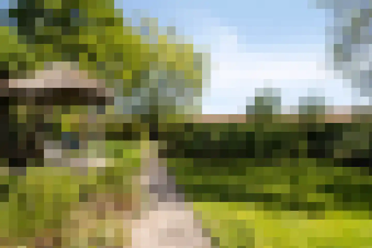 Gemeintje 4 Lithoijen thumbnail 5