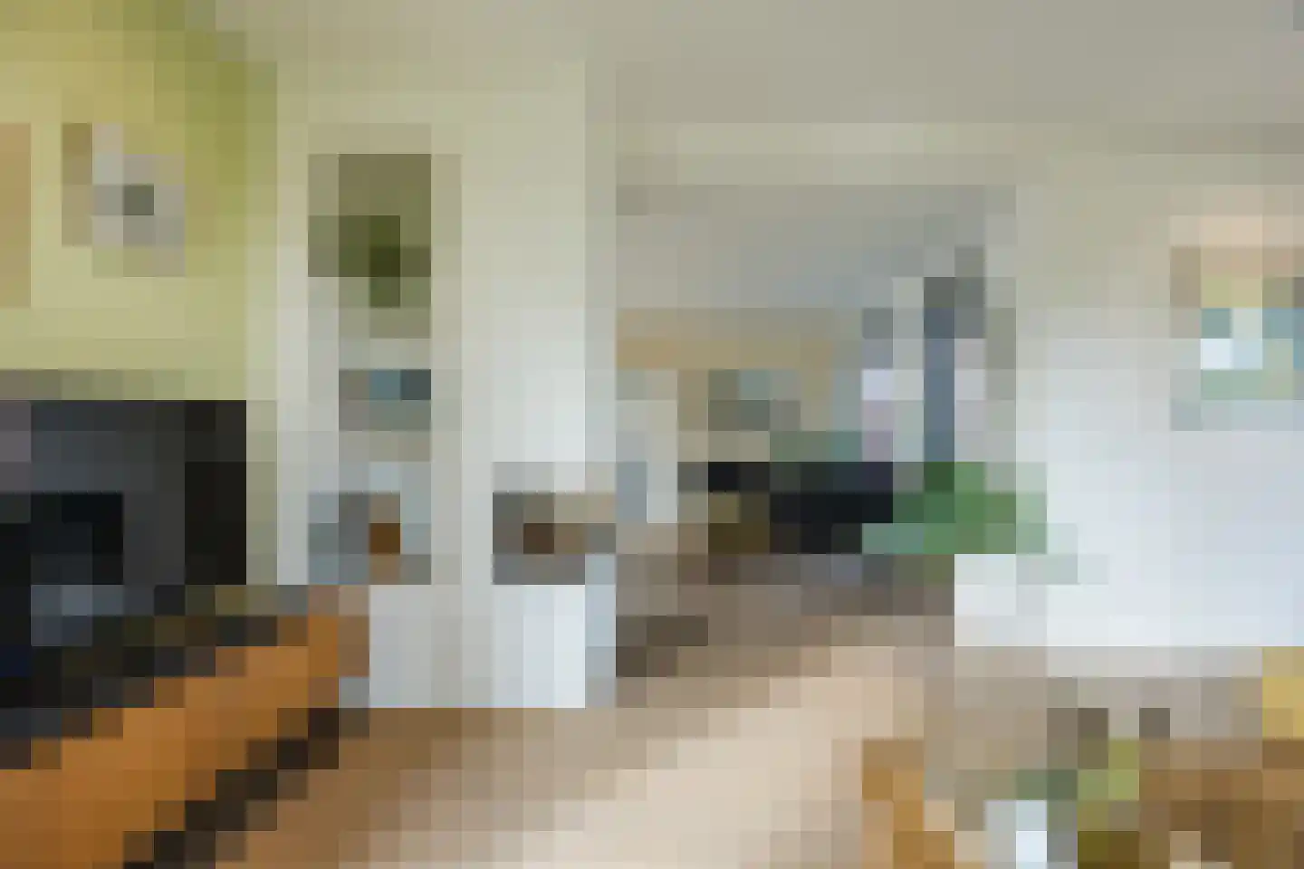 Gemeintje 4 Lithoijen thumbnail 8