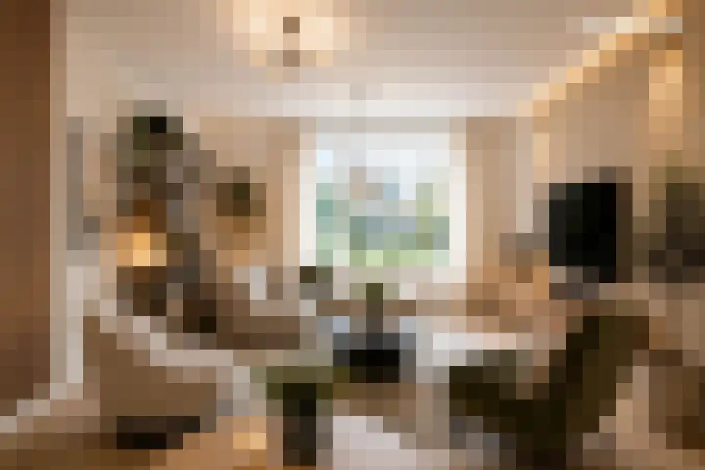 Gemene Bos 23 Bergen (NH) thumbnail 13