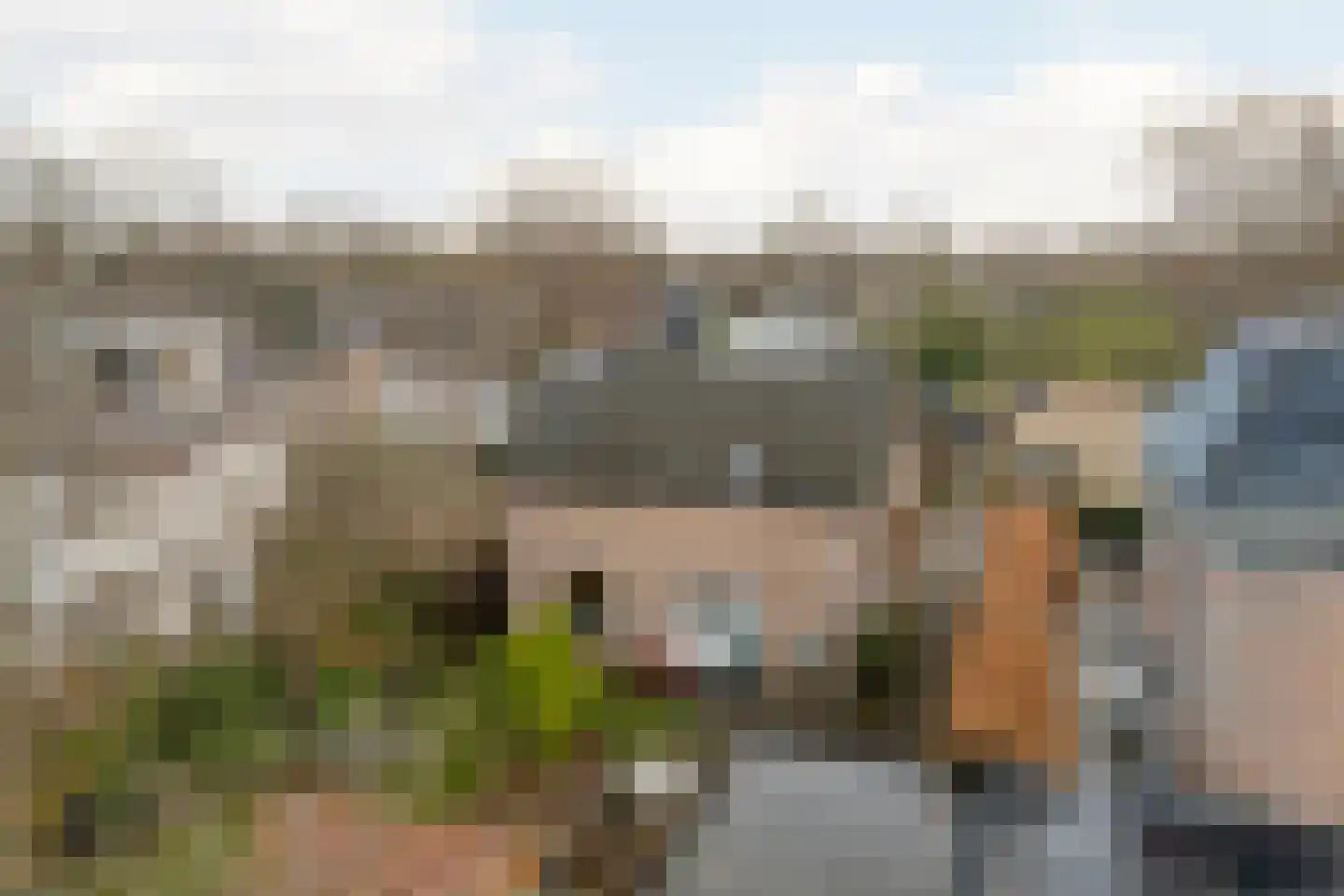Gemene Bos 23 Bergen (NH) thumbnail 29