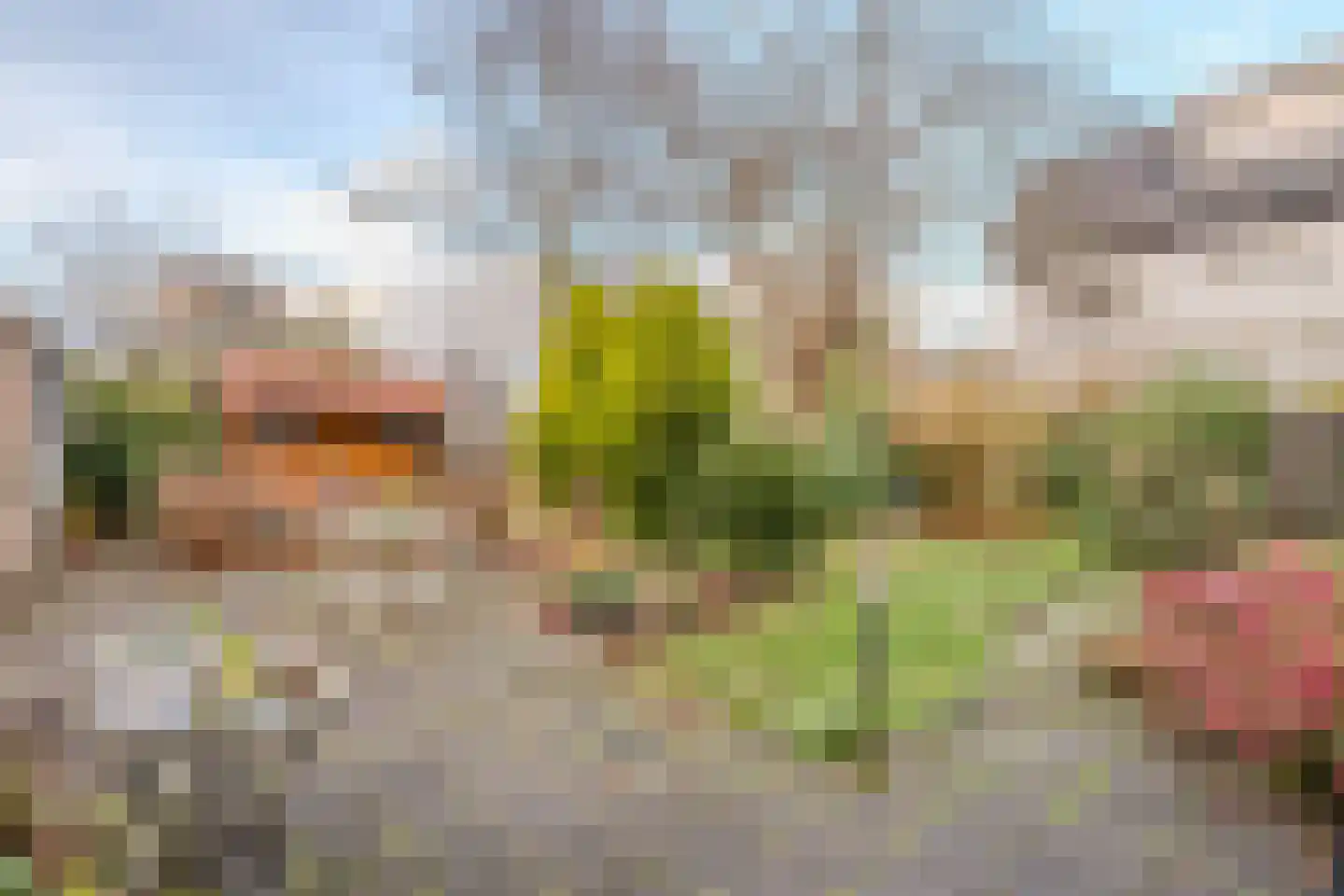 Gemene Bos 23 Bergen (NH) thumbnail 30
