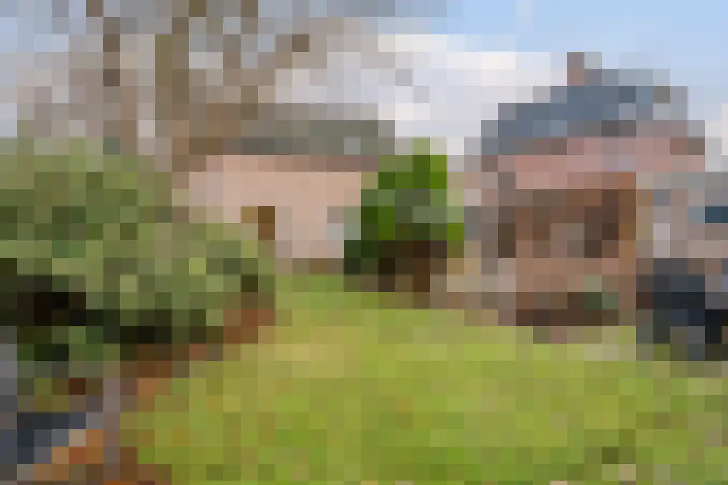 Gemene Bos 23 Bergen (NH) thumbnail 31