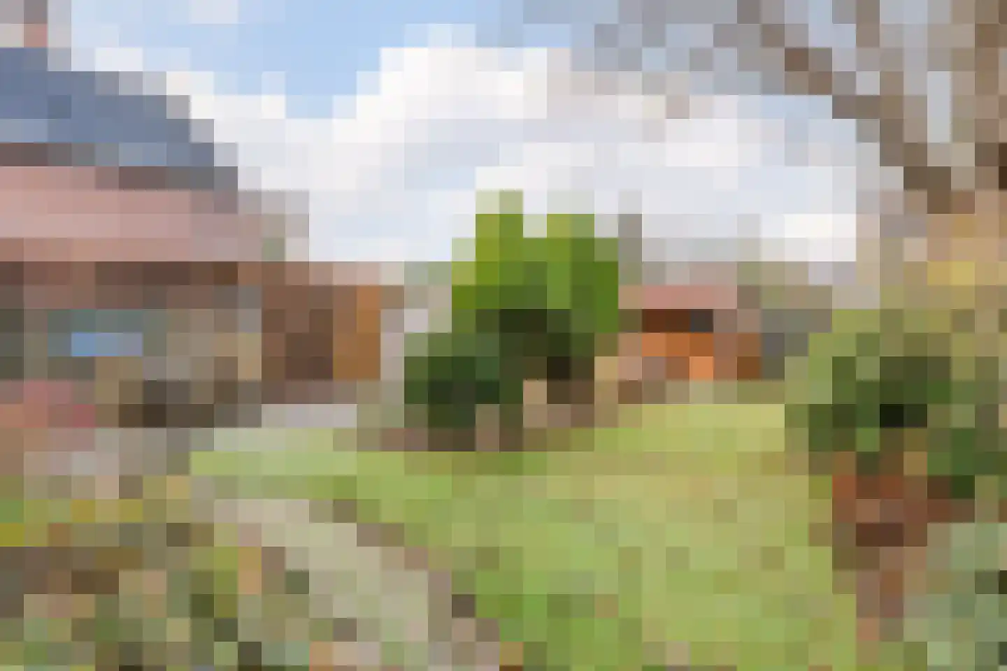 Gemene Bos 23 Bergen (NH) thumbnail 33