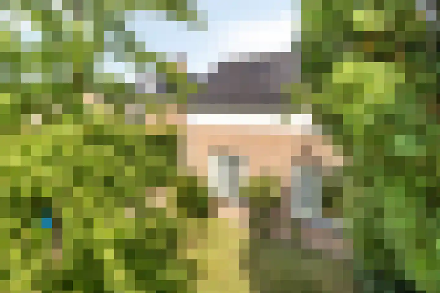 Gemene Bos 23 Bergen (NH) thumbnail 34