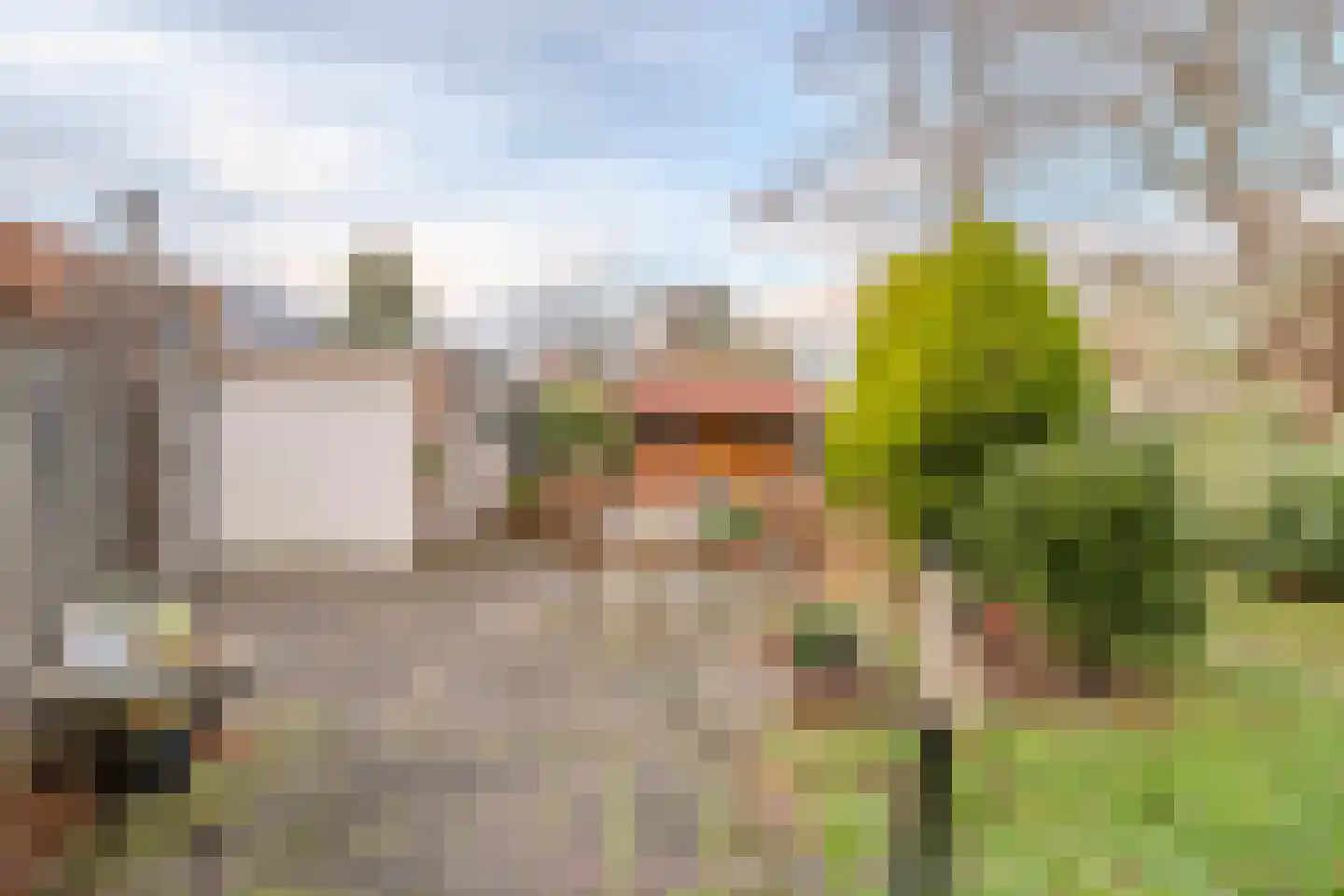 Gemene Bos 23 Bergen (NH) thumbnail 34