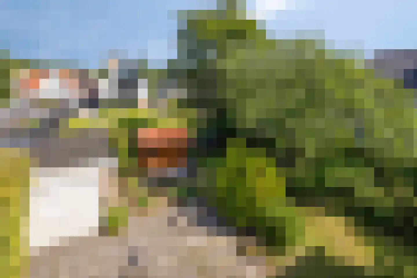 Gemene Bos 23 Bergen (NH) thumbnail 36