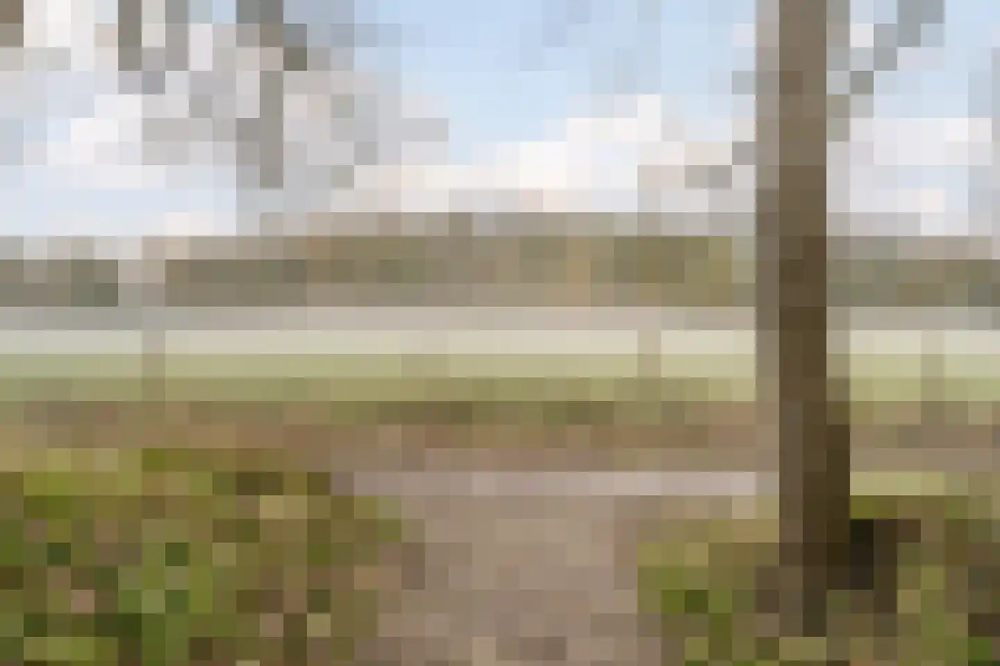 Gemene Bos 23 Bergen (NH) thumbnail 37