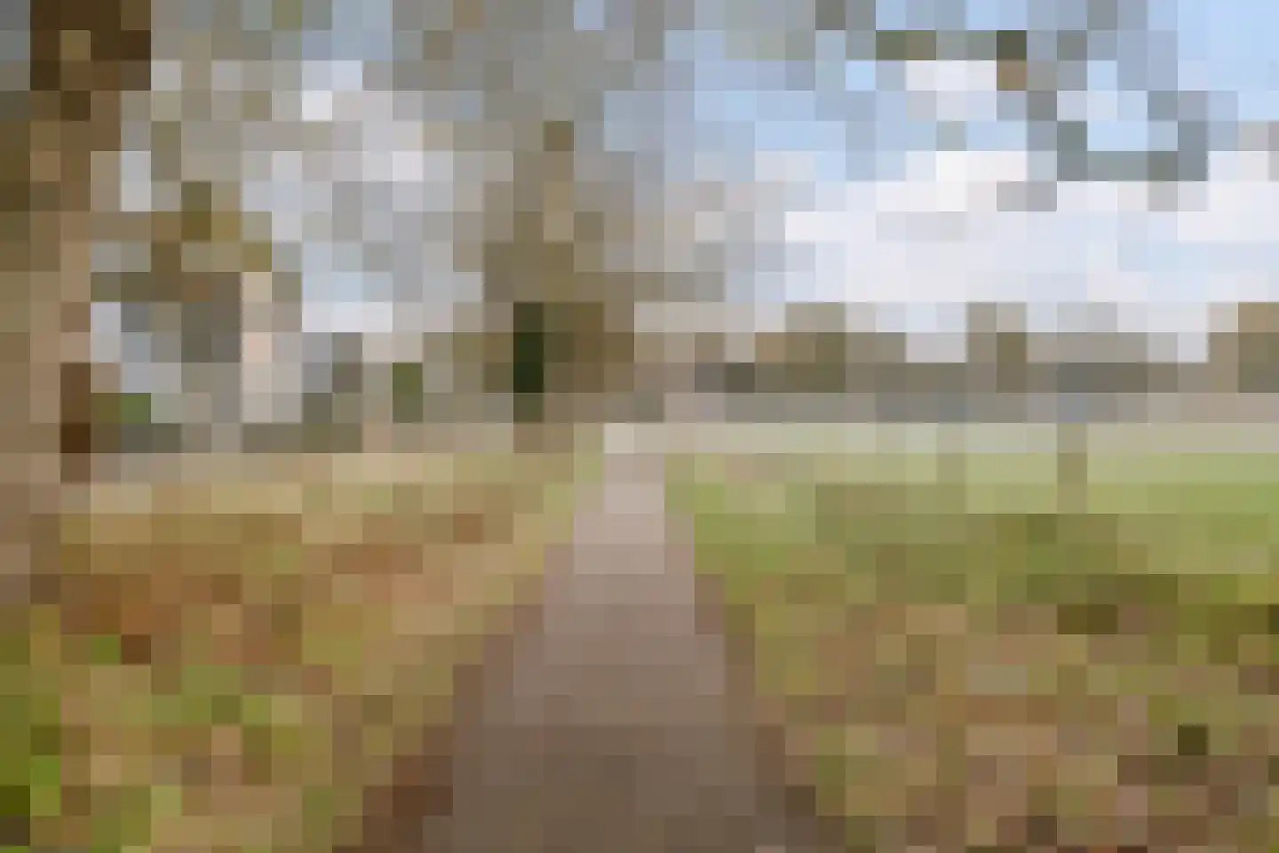Gemene Bos 23 Bergen (NH) thumbnail 38