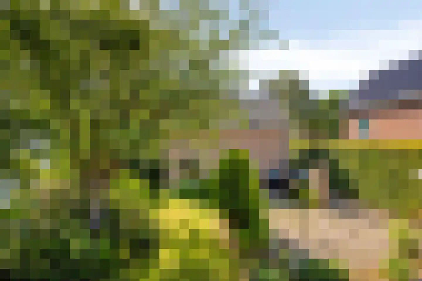 Gemene Bos 23 Bergen (NH) thumbnail 4