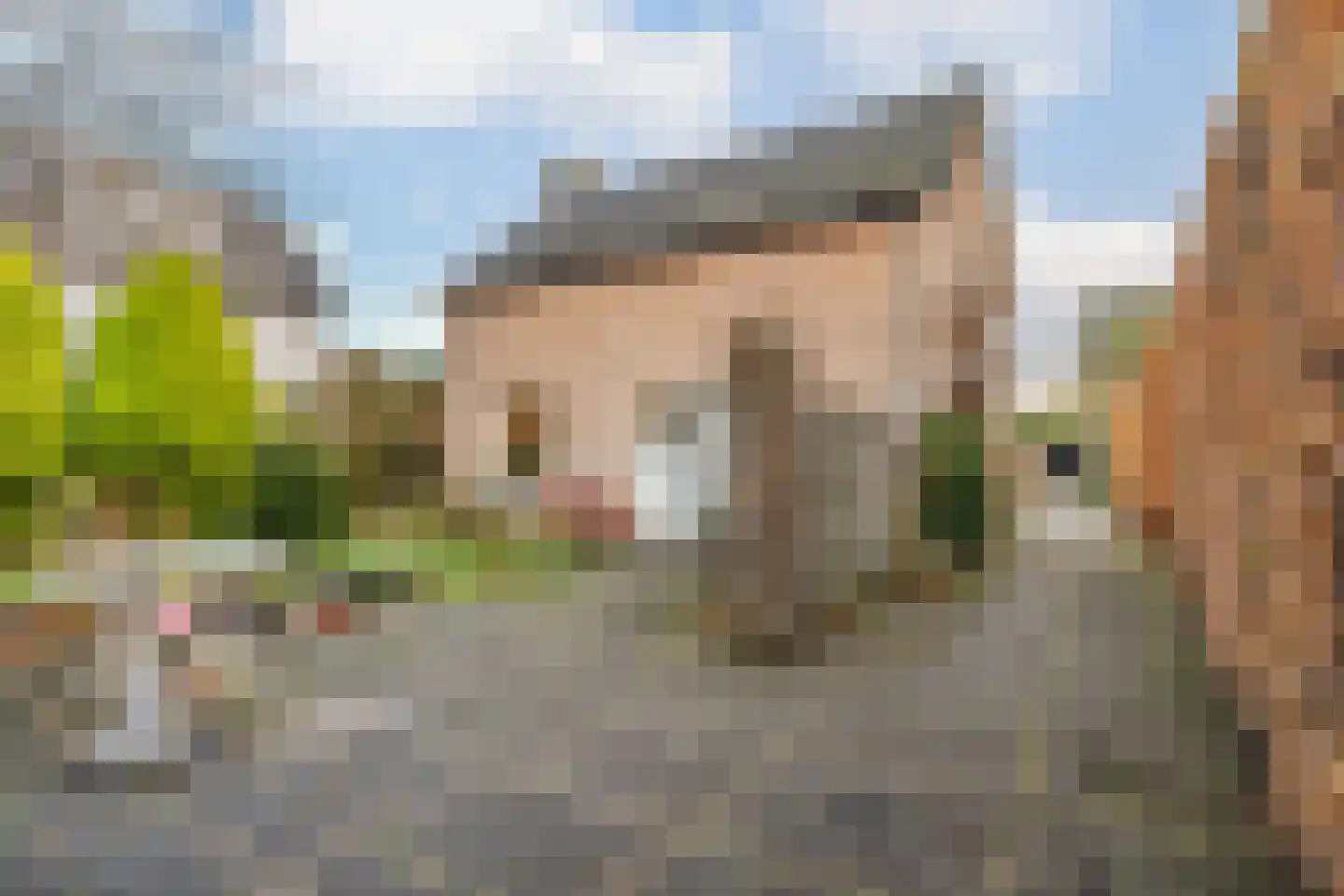 Gemene Bos 23 Bergen (NH) thumbnail 4