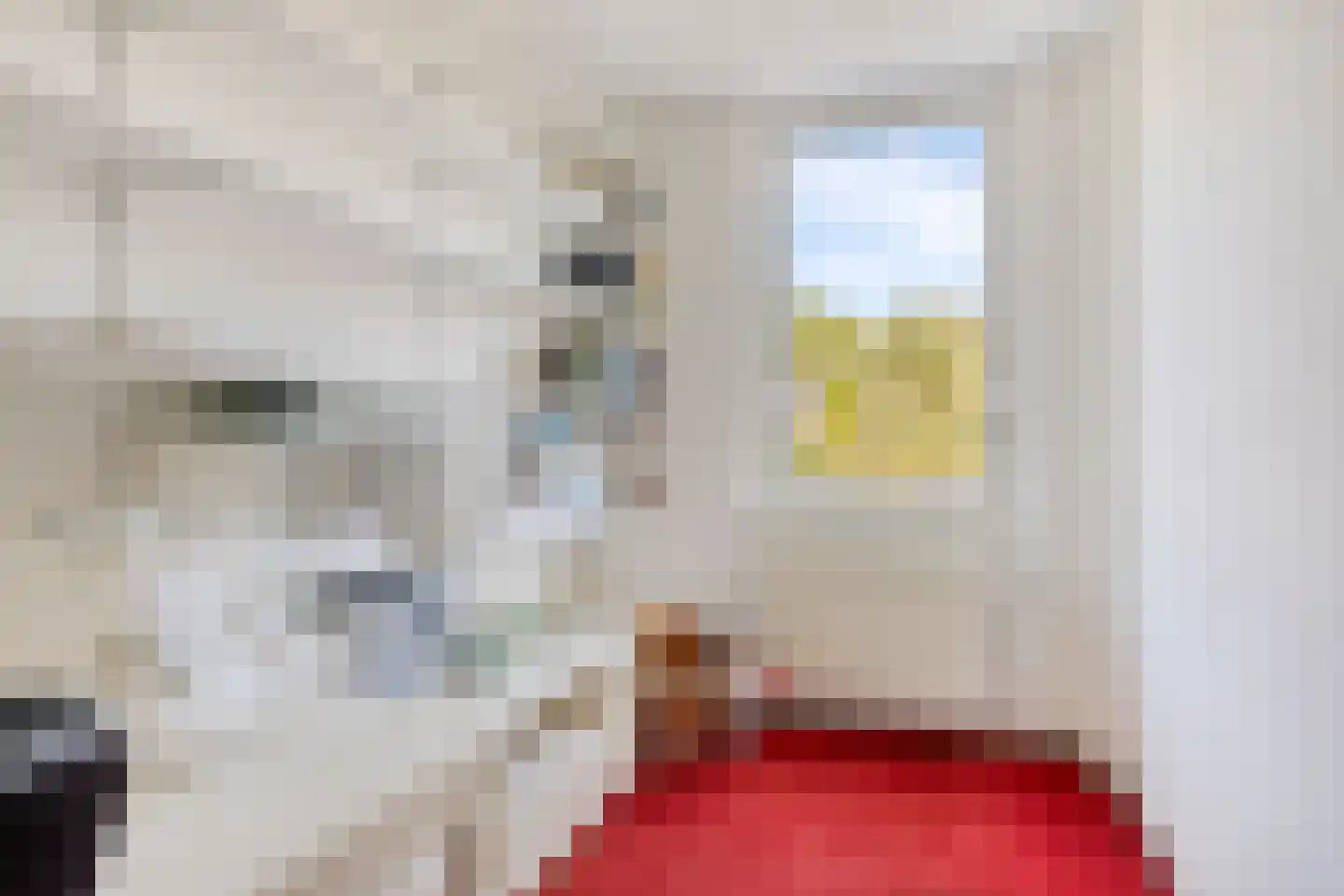 Gemerthof 3 Tilburg thumbnail 19