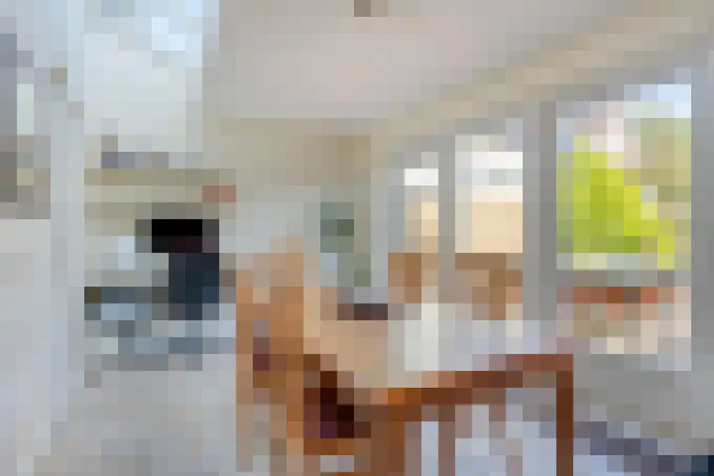 Gemerthof 3 Tilburg thumbnail 6