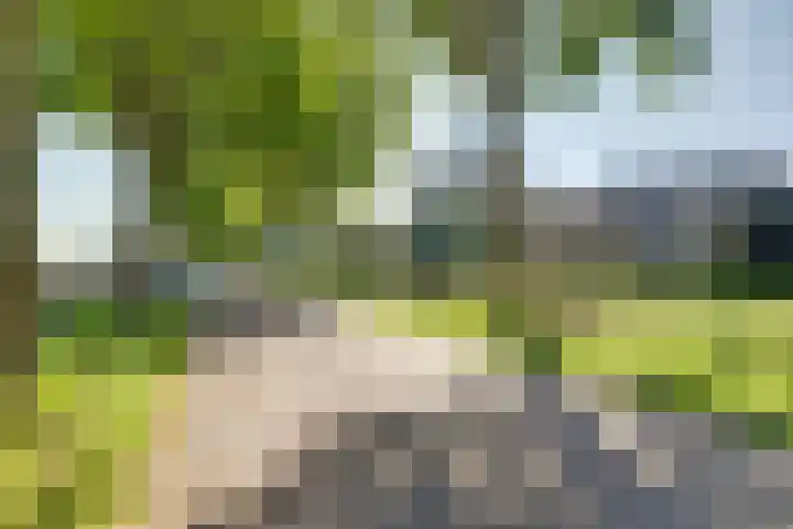 Gemertseweg 11 Oploo thumbnail 10