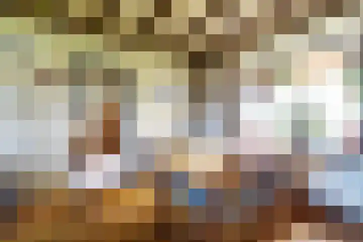 Gemertseweg 11 Oploo thumbnail 14
