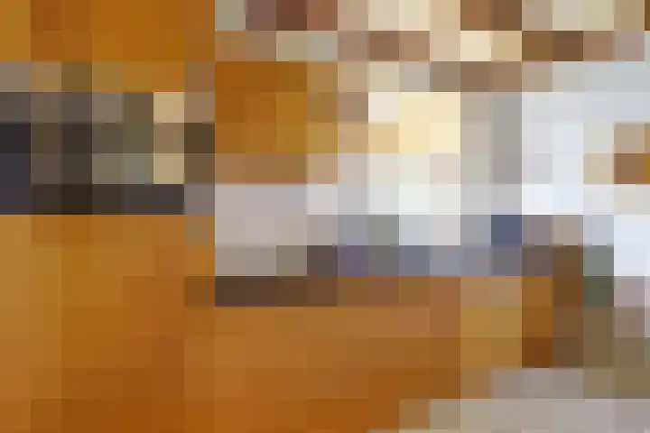 Gemertseweg 11 Oploo thumbnail 15
