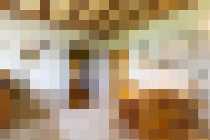 Gemertseweg 11 Oploo thumbnail 17