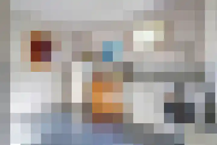 Gemertseweg 11 Oploo thumbnail 18