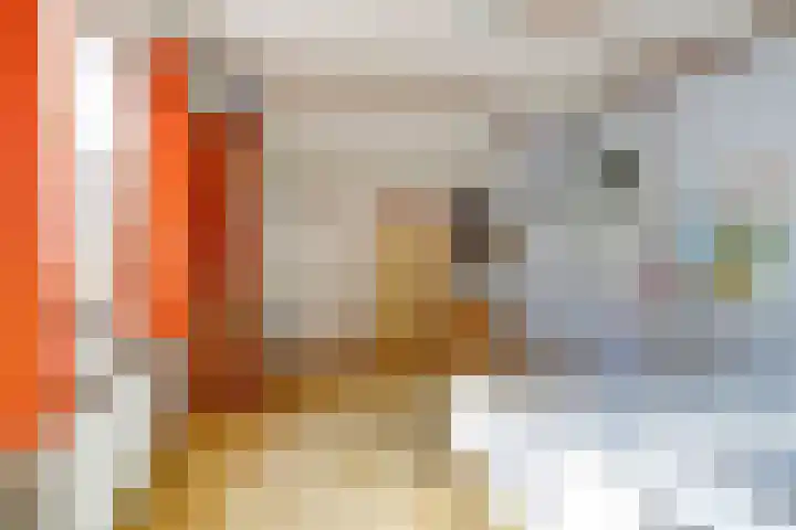 Gemertseweg 11 Oploo thumbnail 25