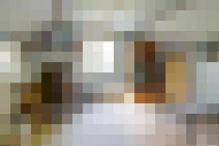 Gemertseweg 11 Oploo thumbnail 26