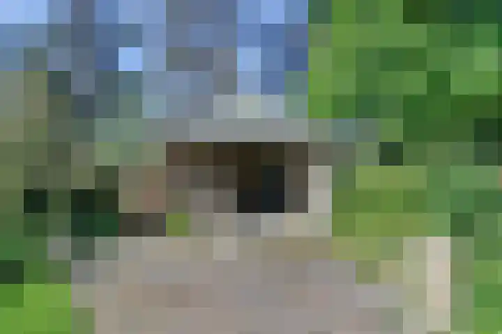 Gemertseweg 11 Oploo thumbnail 36