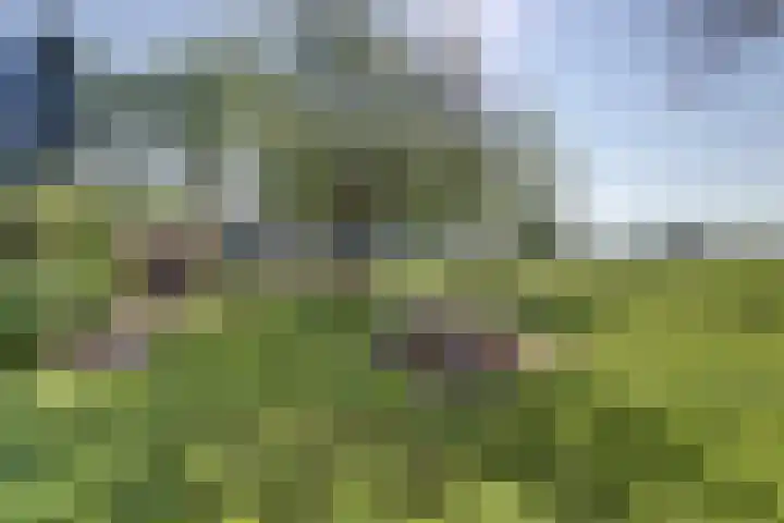 Gemertseweg 11 Oploo thumbnail 41