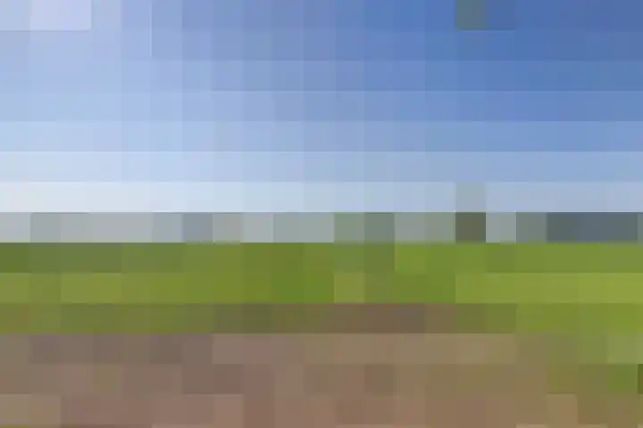 Gemertseweg 11 Oploo thumbnail 42