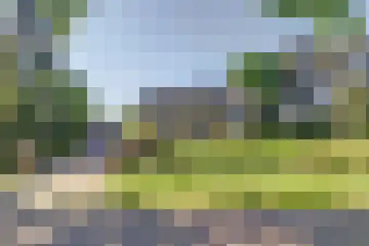 Gemertseweg 11 Oploo thumbnail 6