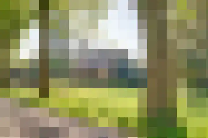 Gemertseweg 11 Oploo thumbnail 9