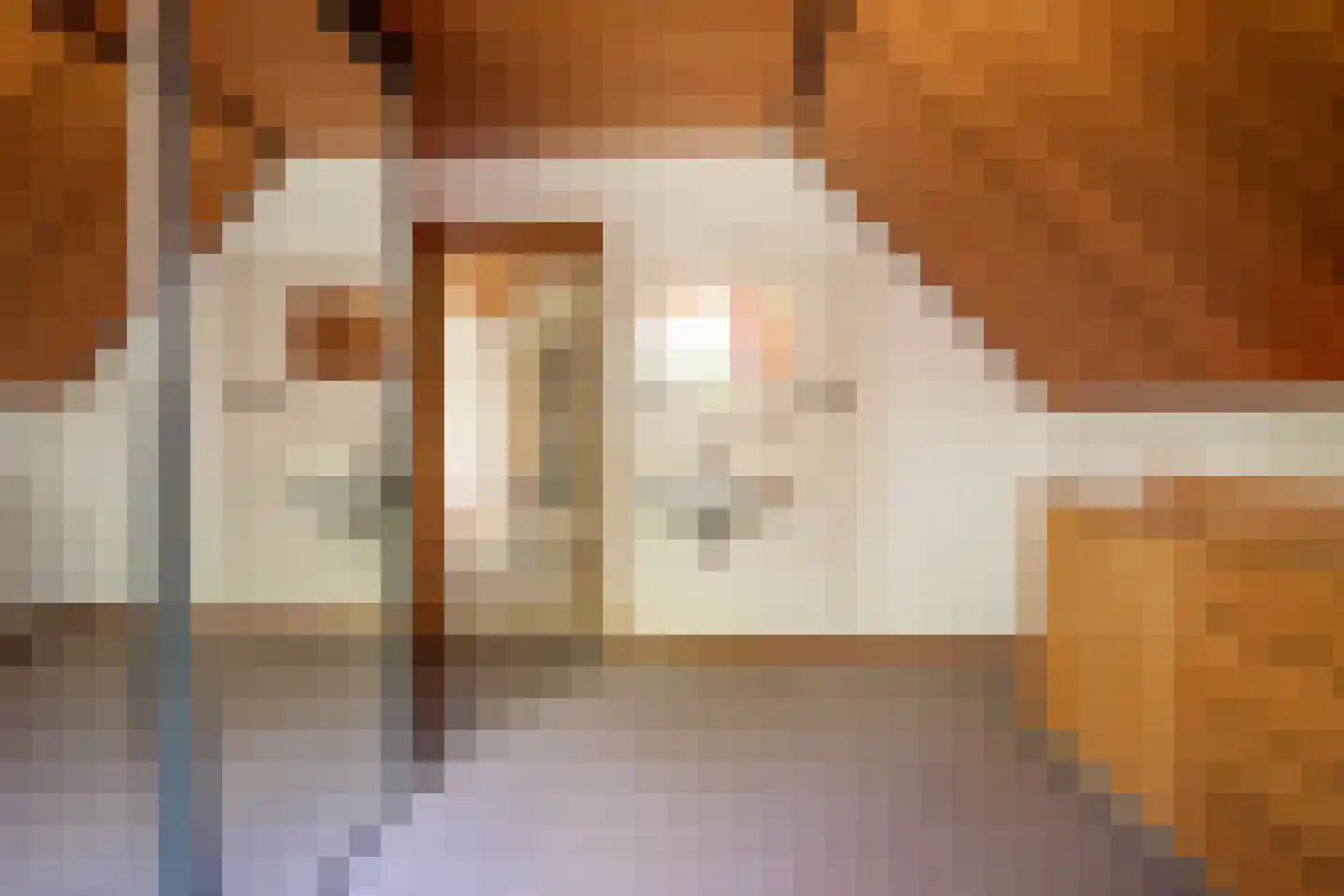Gemertseweg 33 Bakel thumbnail 35