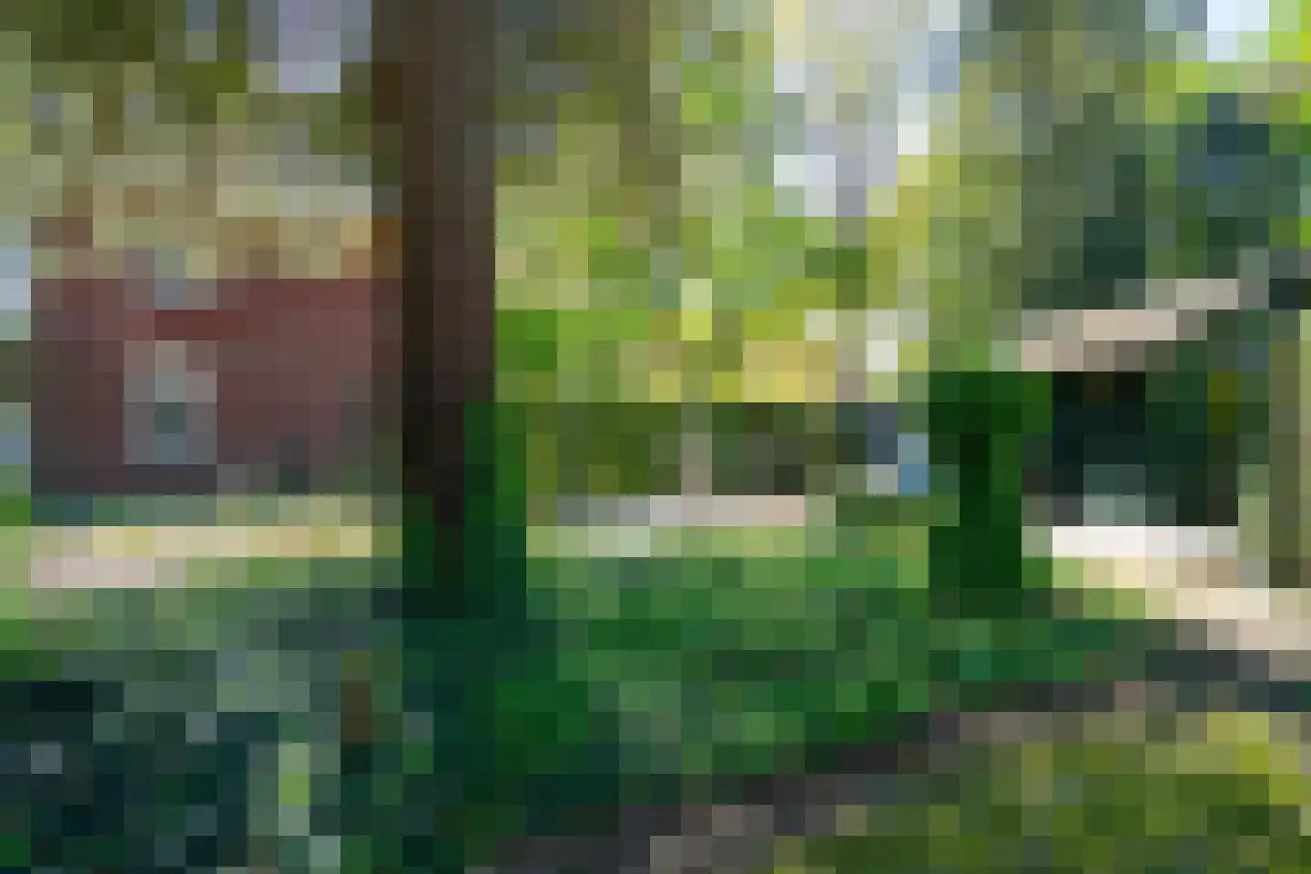 Gemertseweg 33 Bakel thumbnail 49