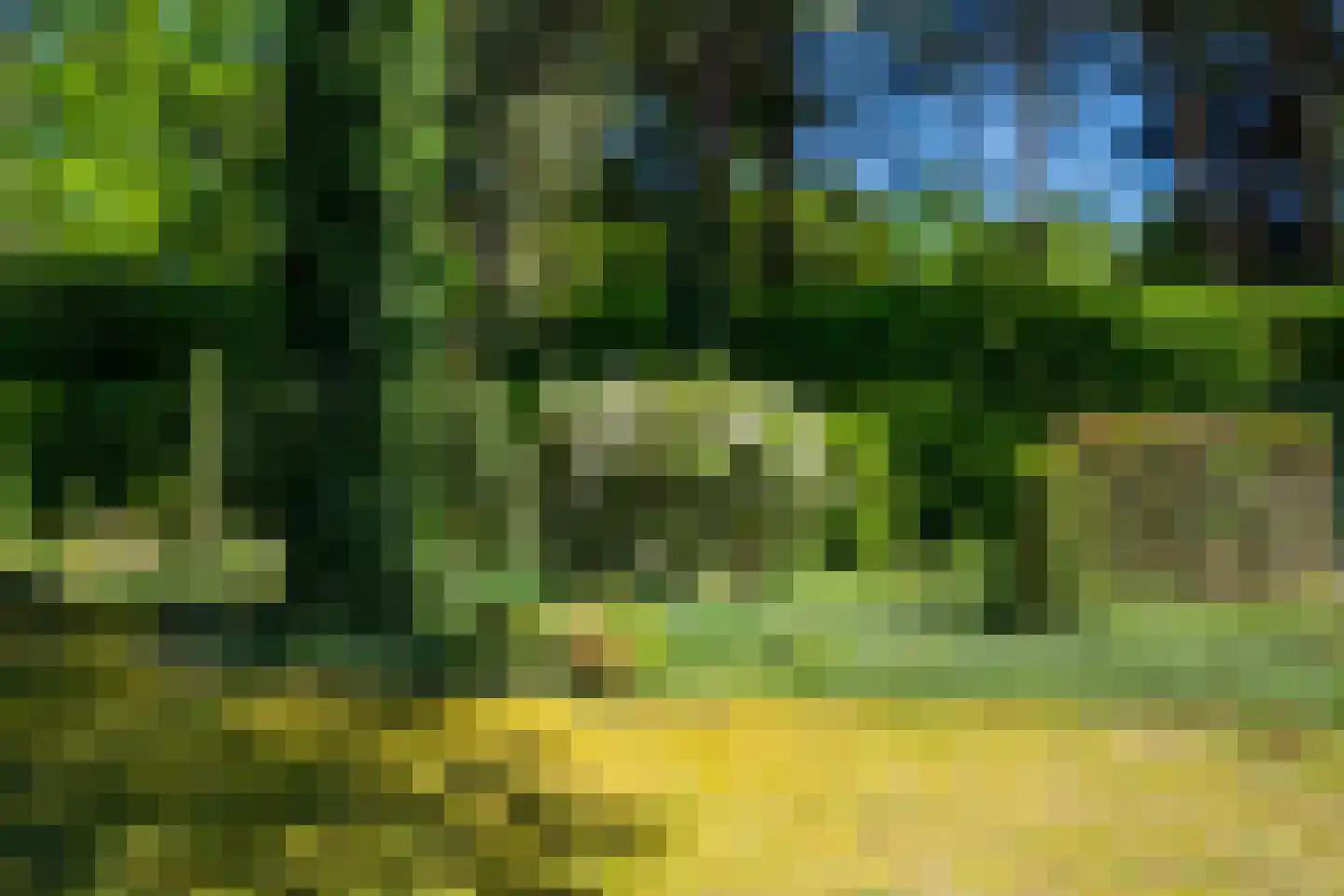 Gemertseweg 33 Bakel thumbnail 50