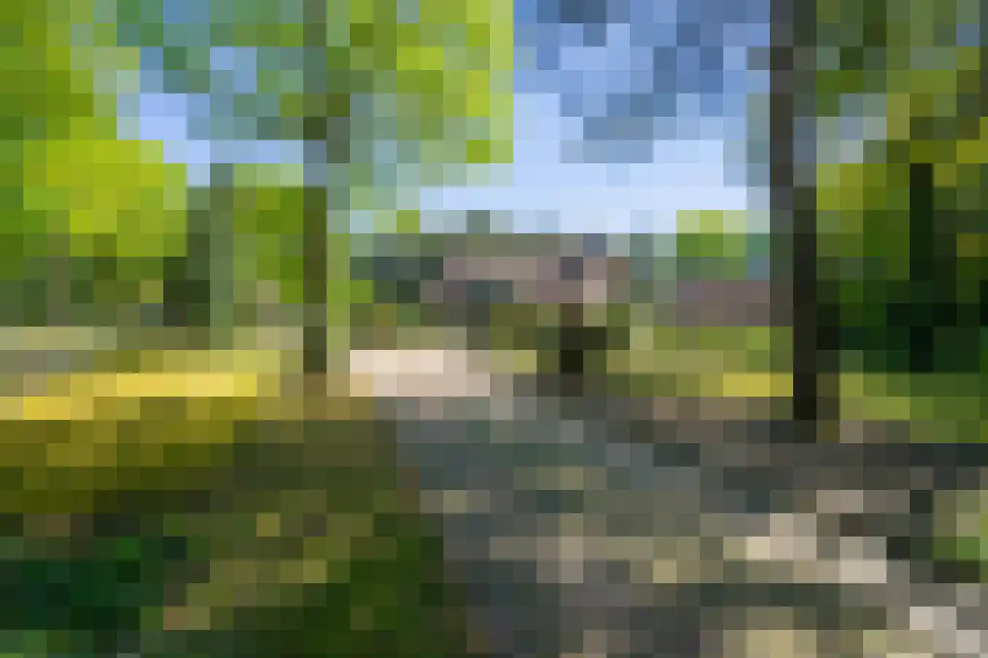 Gemertseweg 33 Bakel thumbnail 59