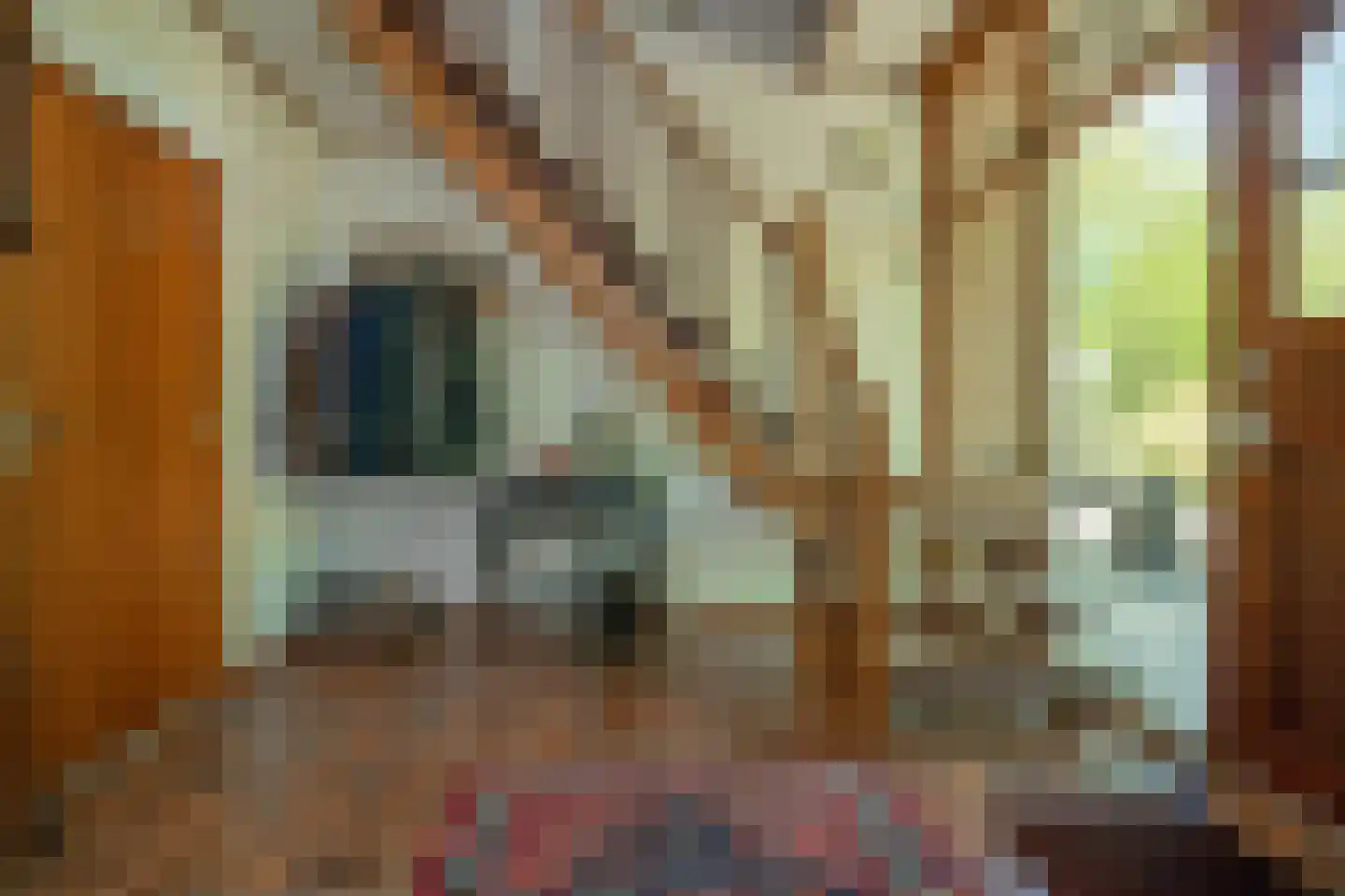 Gemertseweg 33 Bakel thumbnail 6