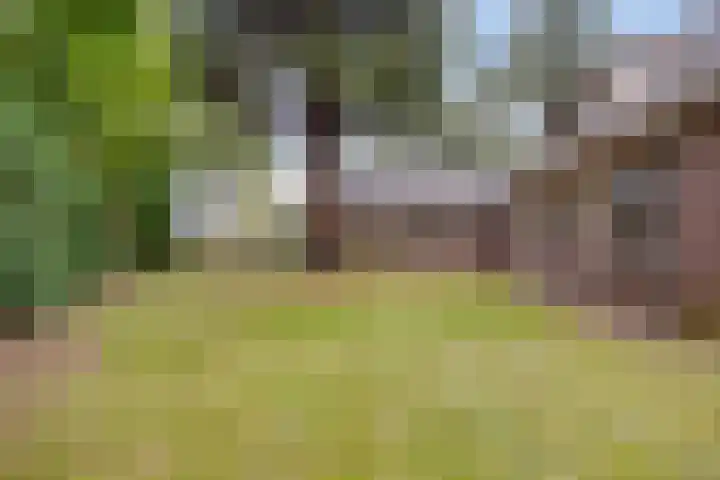 Gemertseweg 43 Bakel thumbnail 43