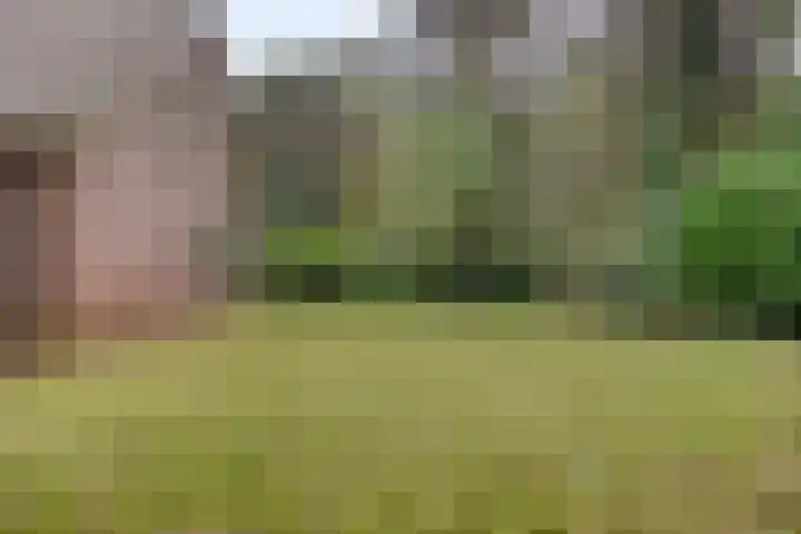 Gemertseweg 43 Bakel thumbnail 48