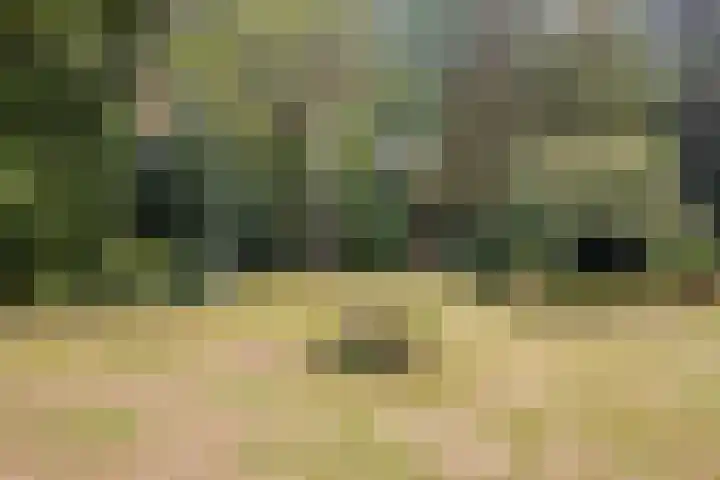 Gemertseweg 43 Bakel thumbnail 5