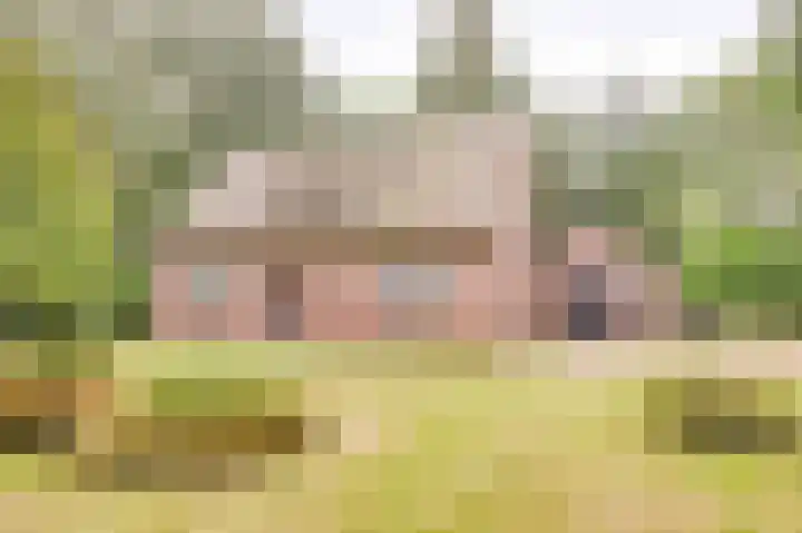 Gemertseweg 43 Bakel thumbnail 6