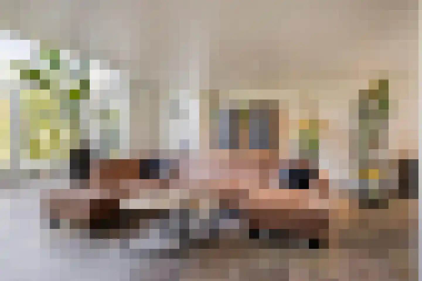Gemertseweg 8 Boekel thumbnail 10