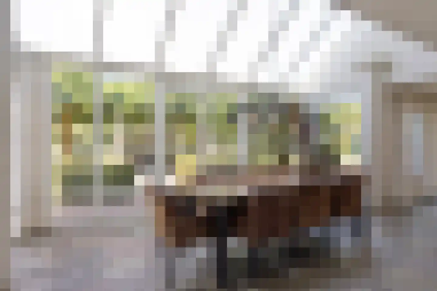 Gemertseweg 8 Boekel thumbnail 13