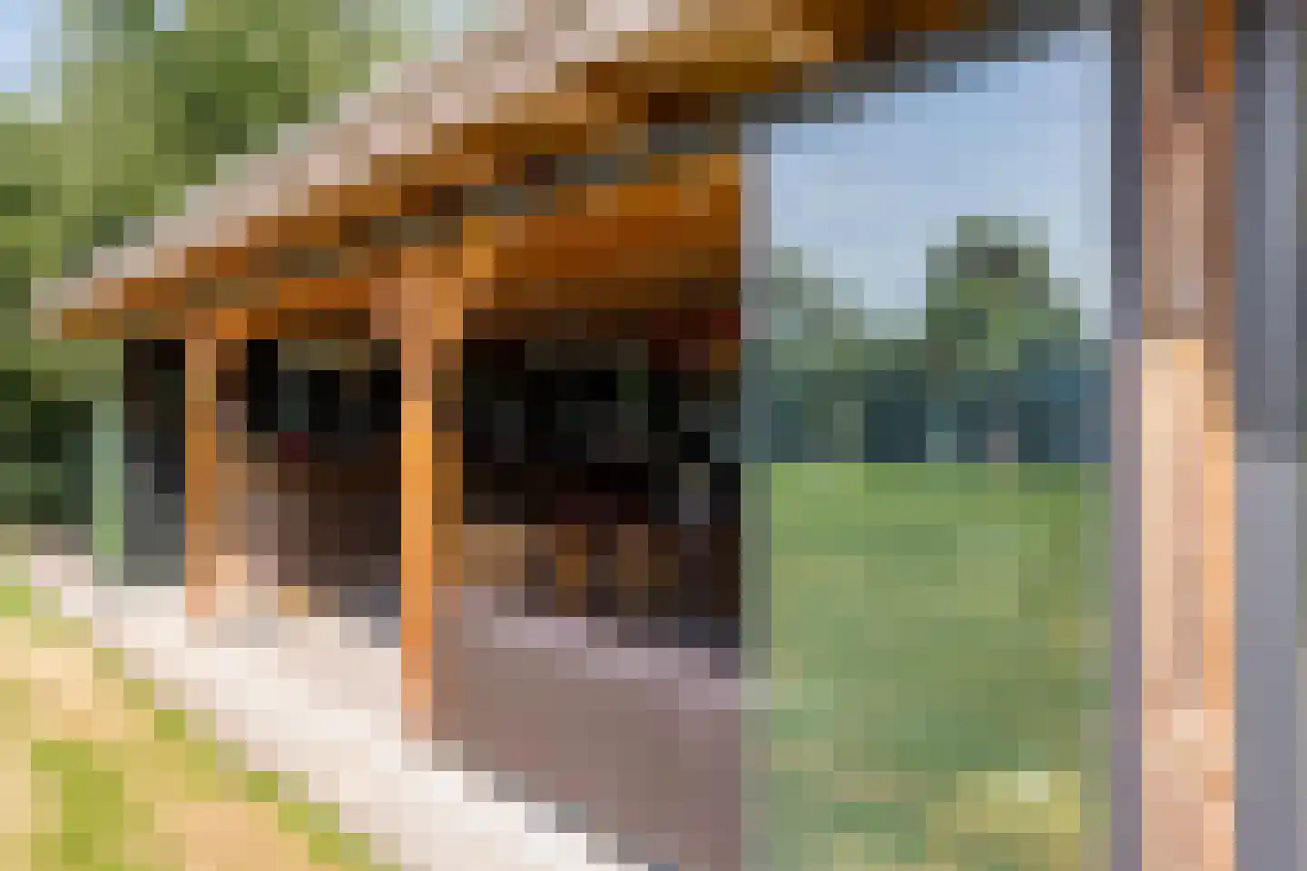 Gemertseweg 8 Boekel thumbnail 34