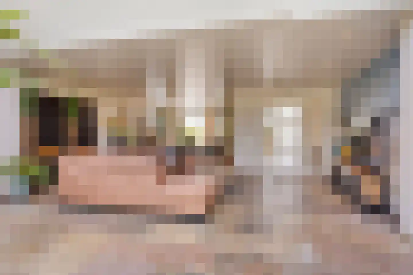 Gemertseweg 8 Boekel thumbnail 8