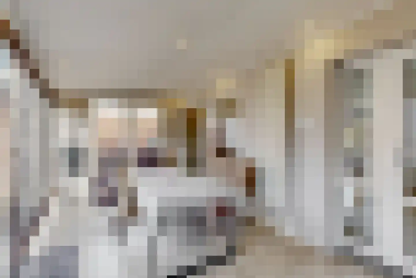Gemetstraat 31 Sint Odiliënberg thumbnail 16