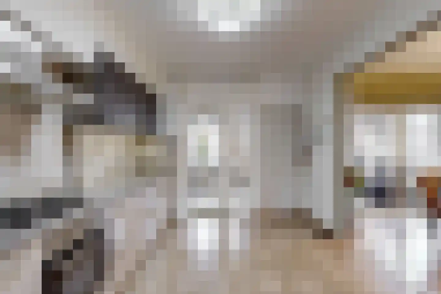Gemetstraat 31 Sint Odiliënberg thumbnail 4